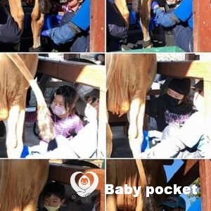 千葉ブロック第8回たんぽぽ会