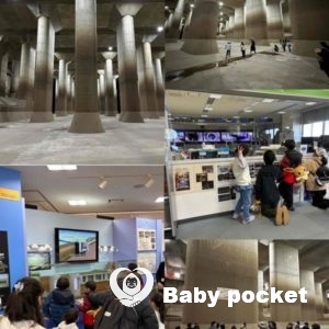 第11回埼玉ブロックたんぽぽ会