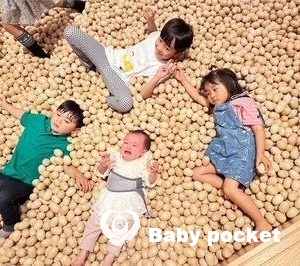 静岡ブロック第8回たんぽぽ会