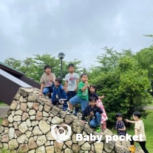 三重たんぽぽ10