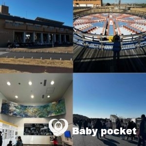 第11回埼玉ブロックたんぽぽ会