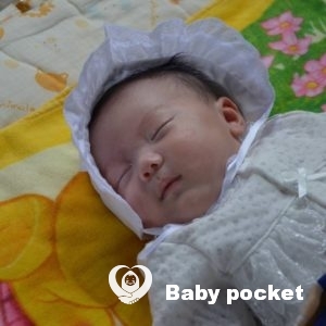 マーブル君お宮参り☆ピースケ君七五三