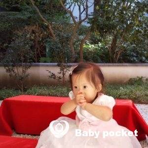 あんずちゃん! 七五三記念!!