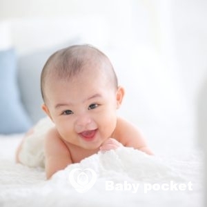 クレマちゃん祝★ハーフバースデー♪