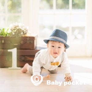 コンパス君💛1歳になりました