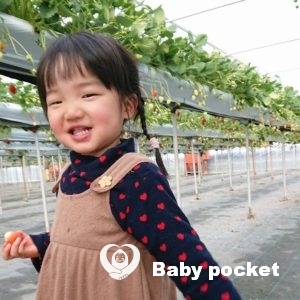 ここわちゃん2歳の誕生