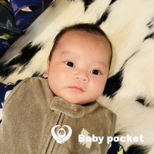 親ばかサロン ぽけっとパーク Npo法人 Babyぽけっと 思いがけない妊娠 出産 子育てのお悩みを養子縁組 特別養子縁組で救済