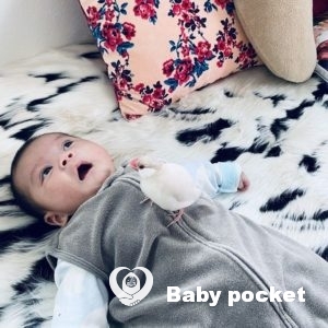 シルバー君をお迎えして1か月半