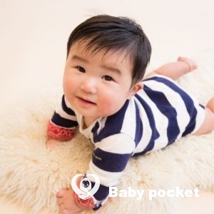 カレラくん*ハーフバースデーを迎えました*