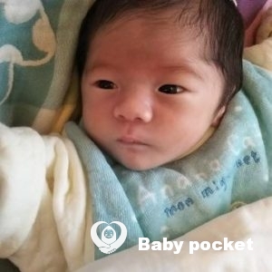 せん君とご縁をいただきまして、ありがとうございます