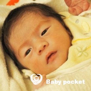 せん君とご縁をいただきまして、ありがとうございます