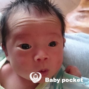 クオッカ家が4人家族になりました!