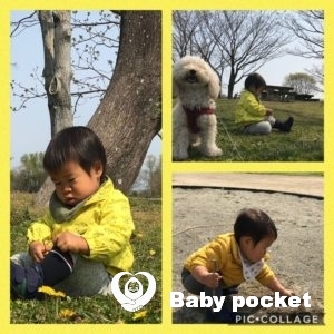 あみた君 1歳半になりました!