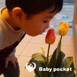 ⭐ちまきくん3歳のご報告⭐