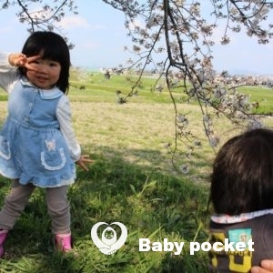 カーニバルちゃん4歳&幼稚園入園しました!