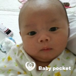 プルメリア家🌟モルト君お迎えから1ヵ月のご報告