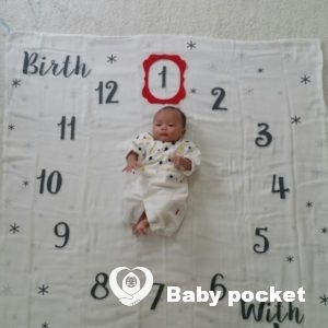 プルメリア家🌟モルト君お迎えから1ヵ月のご報告