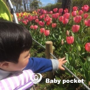 ぼのぼのくん🌟初節句・入籍・1歳🌟のご報告