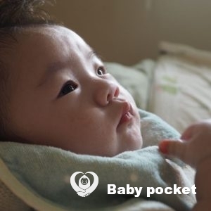 せん君のハーフバースデー⭐