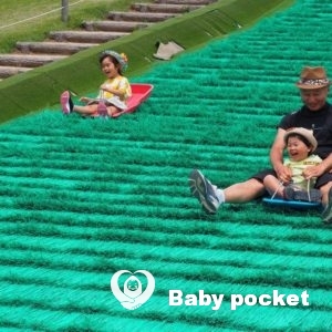 おにぎり🍙大福🌟通信