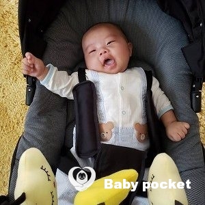 アポロ君🌟100日祝いのご報告