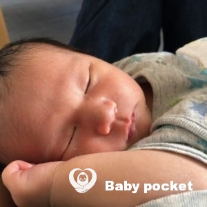 ロコ君をお迎えしました!