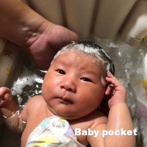 ロコ君をお迎えしました!