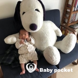 きじとらくんの近況ご報告 ~1か月~