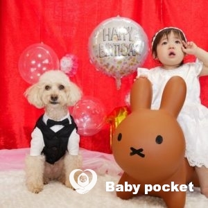 アンディちゃん1歳になりました