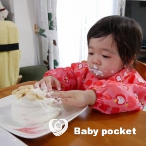 アンディちゃん1歳になりました