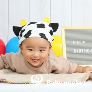 ロシナンテ君🌟ハーフバースデーのご報告