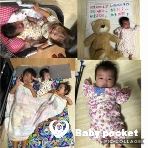 コジカちゃんのお宮参りと1ヶ月検診のご報告