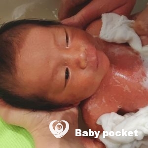 カウル君をお迎えしました