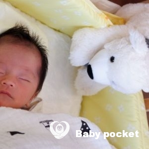 カウル君をお迎えしました