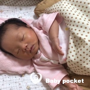 アンちゃんお迎えしました