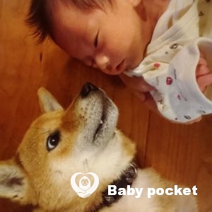 カウル君、1ヶ月になりました!