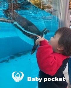 ⭐かみあり君2歳になりました