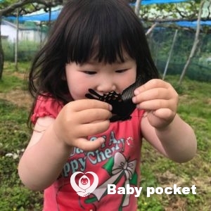 ピオーネちゃん🌟4歳おめでとう