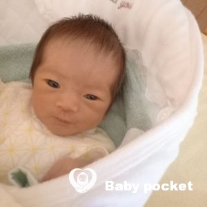 ミファーちゃんをお迎えしました