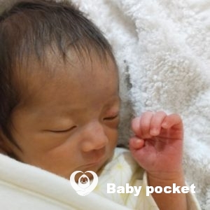 ミファーちゃんをお迎えしました