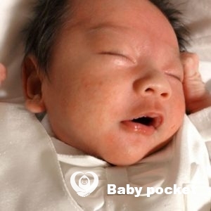 カウル君の初宮参り