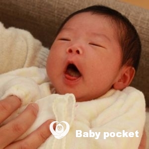 すももちゃんをお迎えしました💝