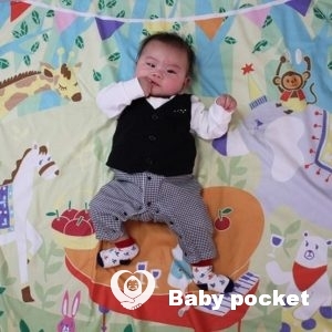 アポロ君🌟ハーフバースデーのご報告