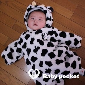 アポロ君🌟ハーフバースデーのご報告