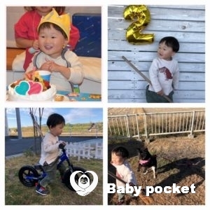 コンパスくん 2歳になりました