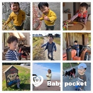 コンパスくん 2歳になりました