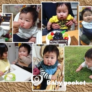 たいわくん⭐ハーフバースデー&ここわちゃん⭐七五三