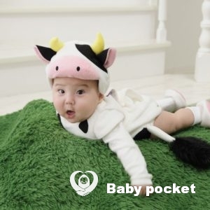 かもねぎ君 ハーフバースデーのご報告