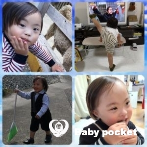 プルメリア家🌟アイラ君七五三&モルト君ハーフバースデーのご報告。