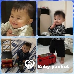 プルメリア家🌟アイラ君七五三&モルト君ハーフバースデーのご報告。